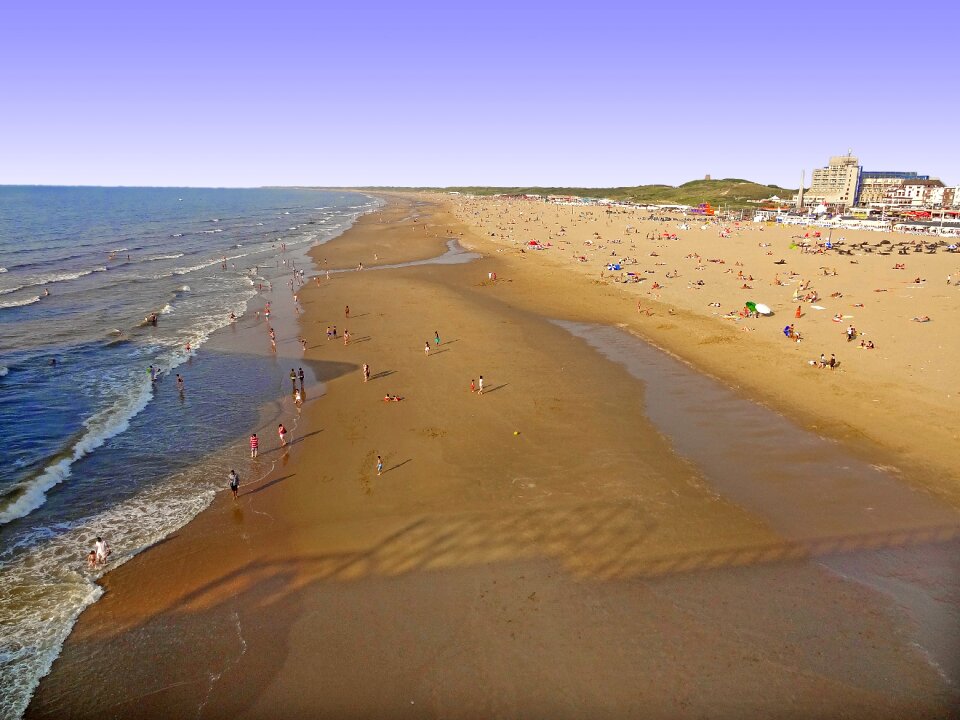 Beach dunes scheveningen