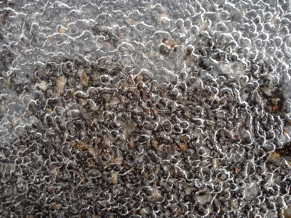Defrost pattern tangle