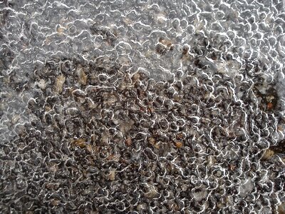 Defrost pattern tangle