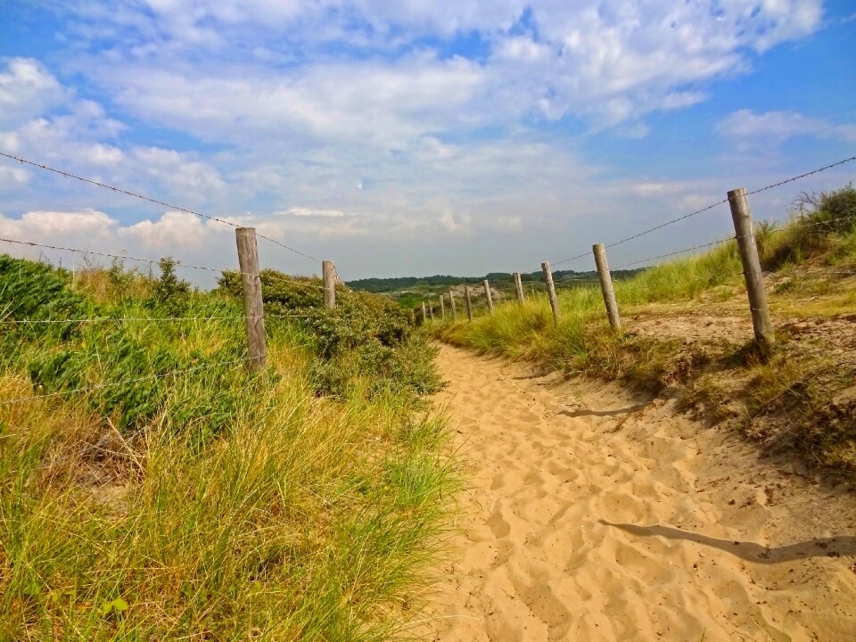 Summer nature reserve beach