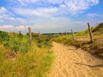 Summer nature reserve beach