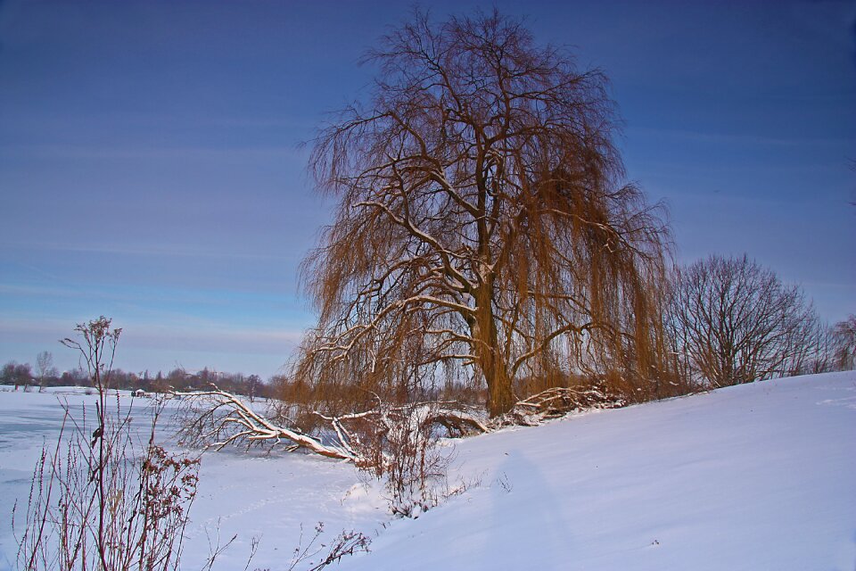 Ice snow cold photo