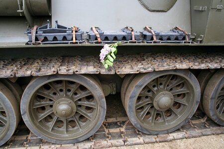 Tanks lilac flowers