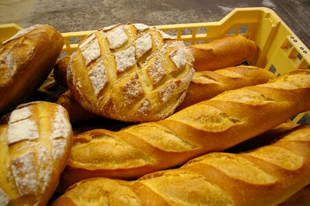 Bread bakery costs