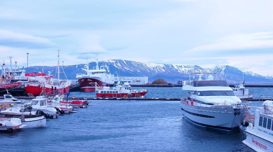Harbor reykjavik photo