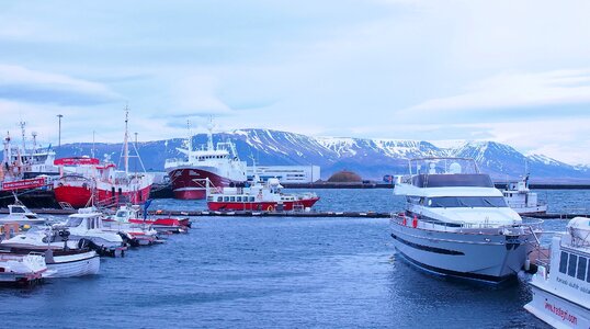 Harbor reykjavik