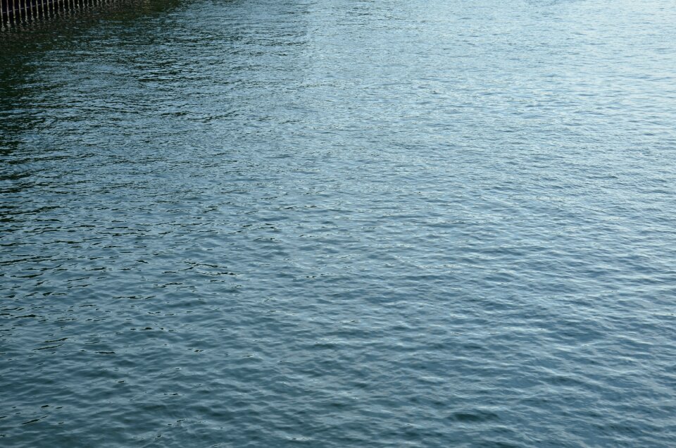 Blue reflection