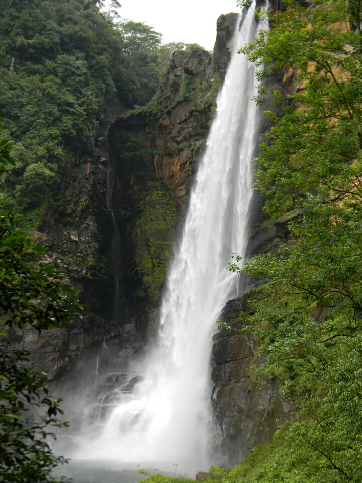 Nature tropical travel