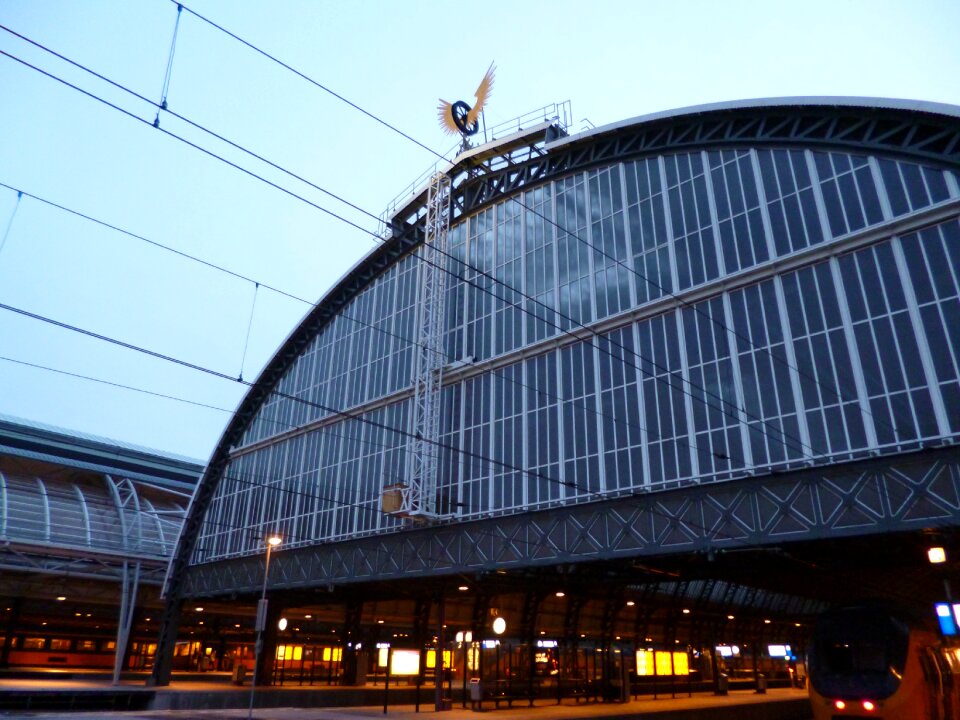 Roof hall building