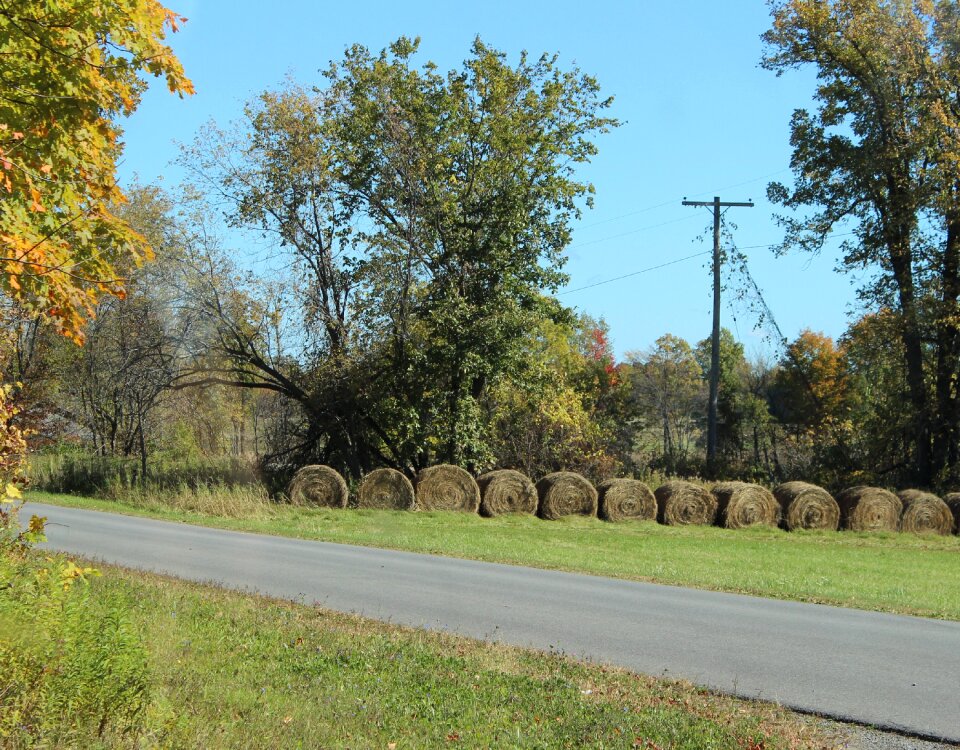 Straw field agriculture