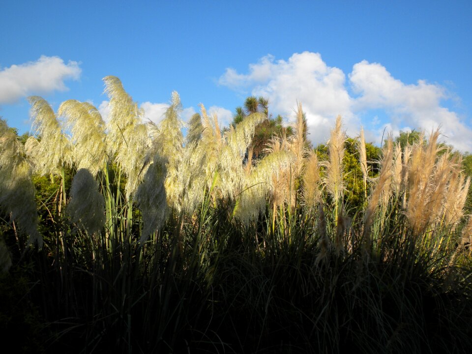 Outdoor natural landscape