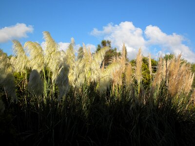 Outdoor natural landscape