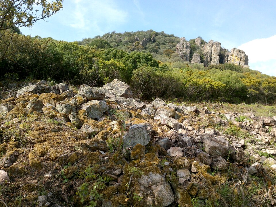 Nature mountain light