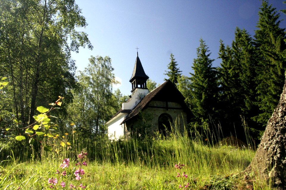 Church romance forest