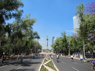 Wood city mexico city