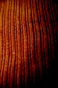 Fabric velvet brown