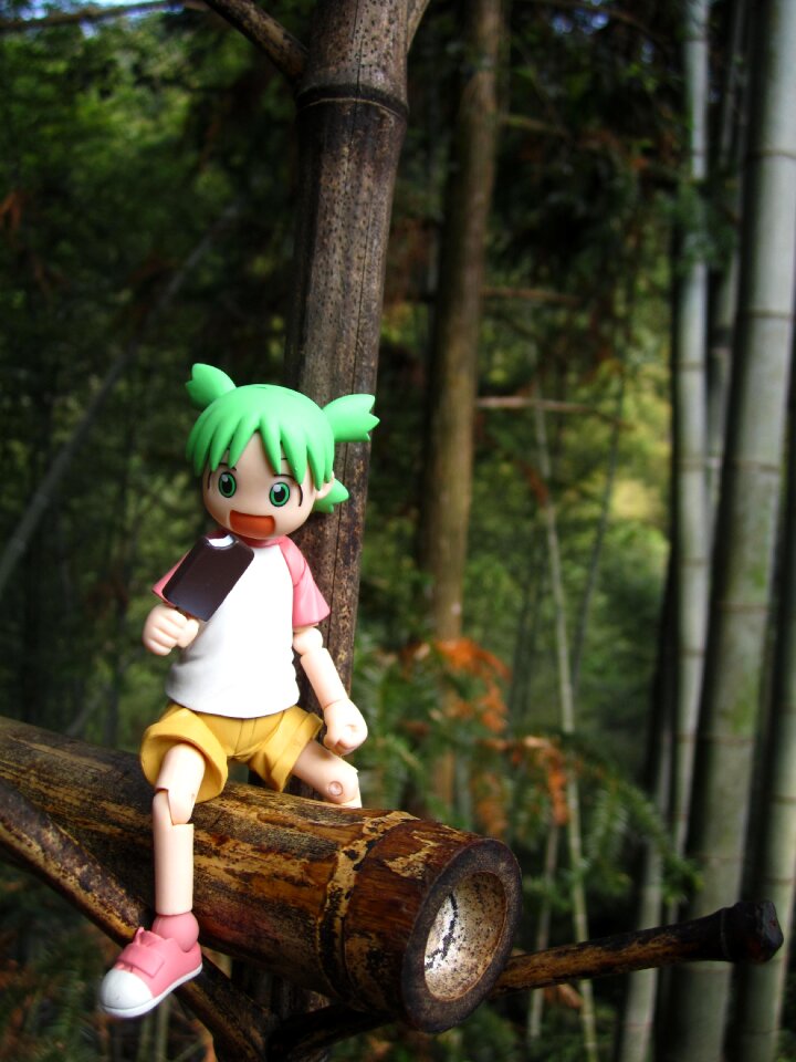 Doll anime four sisters
