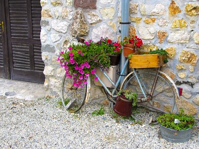 Flower stand cozy creative decor photo