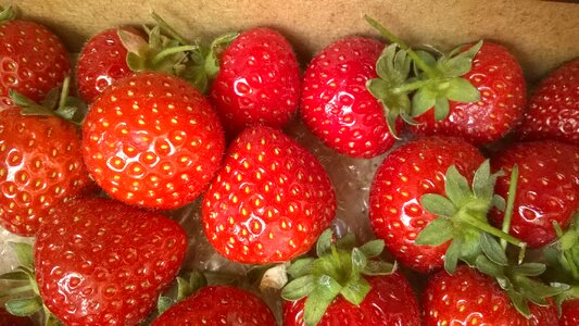 Strawberry fresh healthy photo