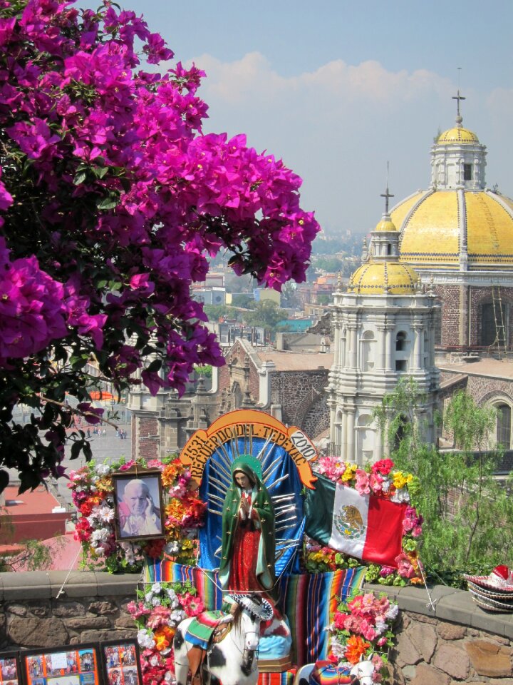 Our lady of maria flowers