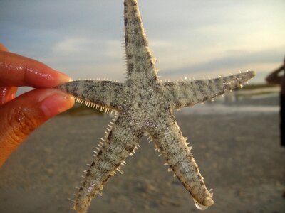 Sea paradise seashore