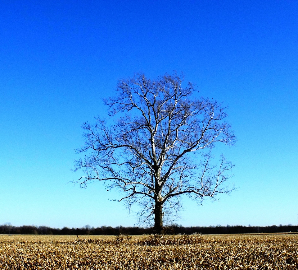 Countryside sky blue