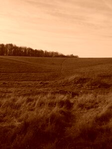 Landscape meadow sepia
