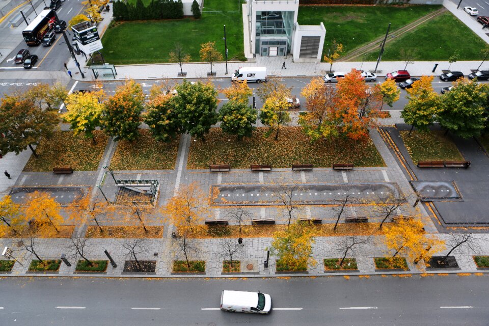 Street aerial view lane