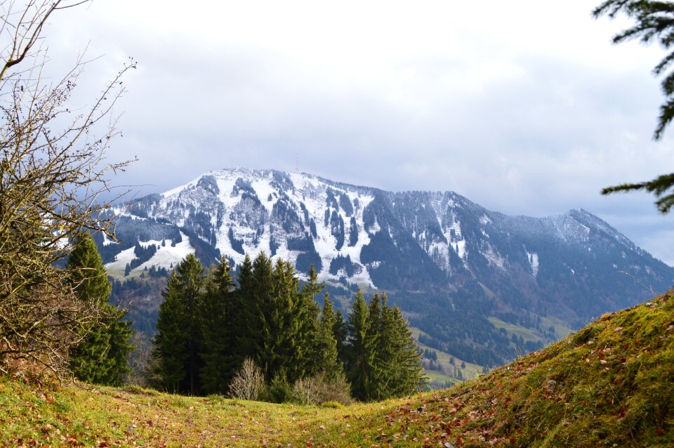 Mountains greened snow