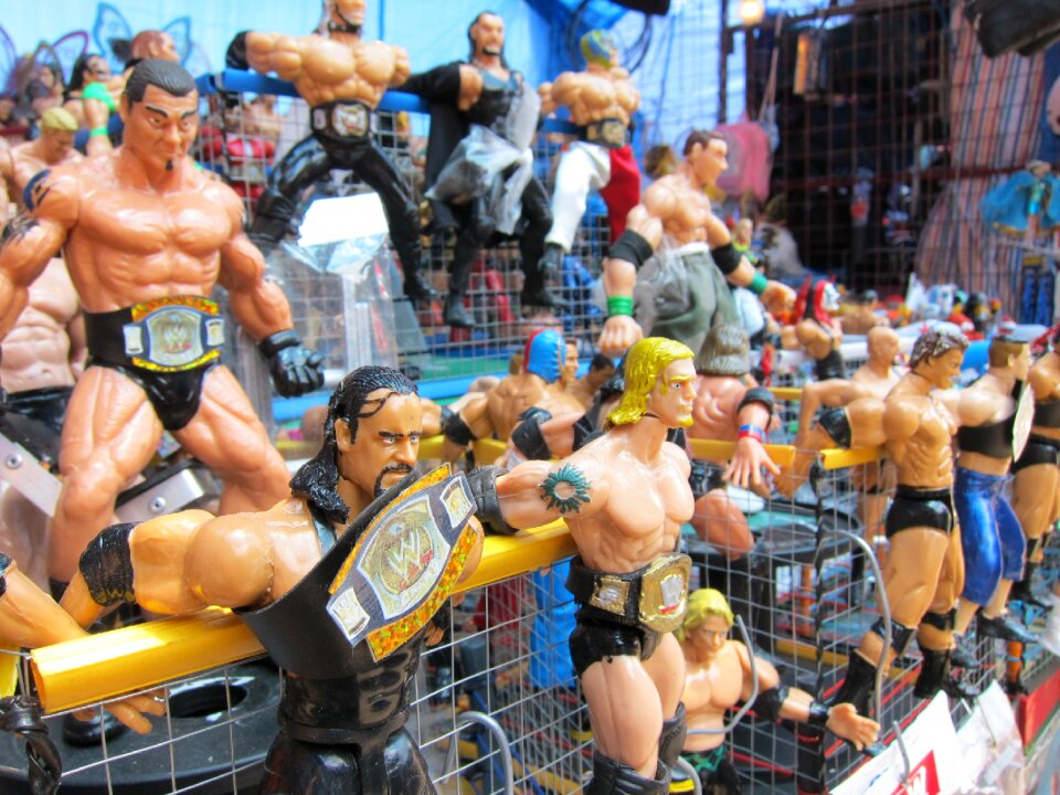 Toys the wrestler anime