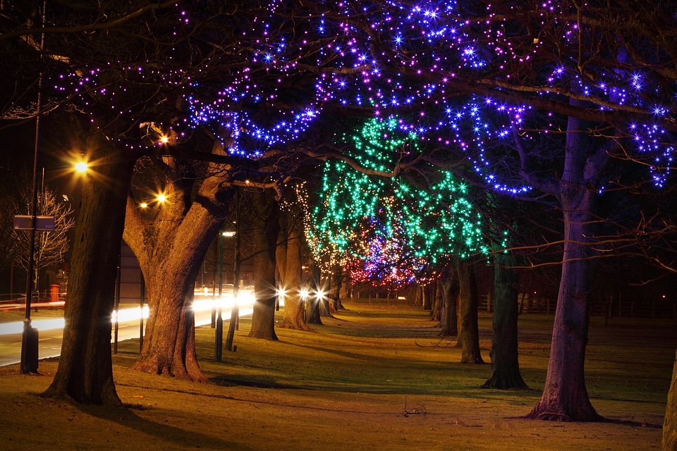 Lights decoration colorful photo