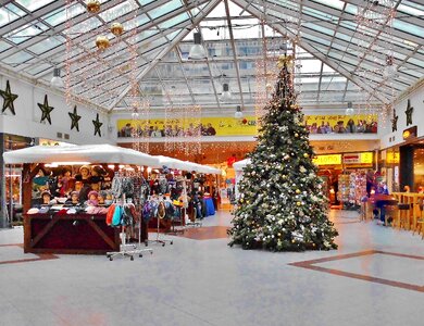 Christmas tree christmas stands christmas photo