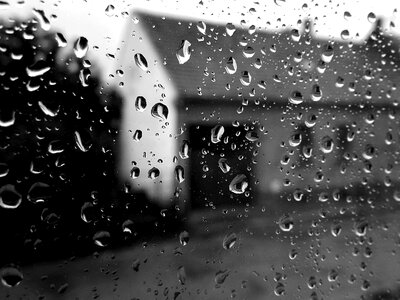 Raindrop drops of water net photo