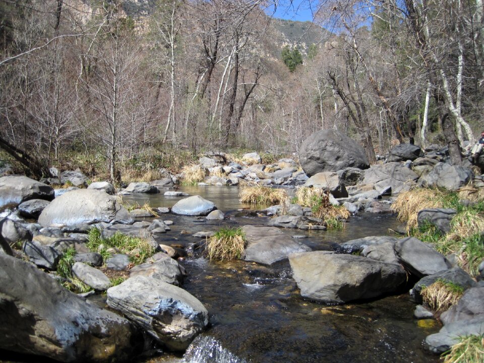 Creek landscape nature