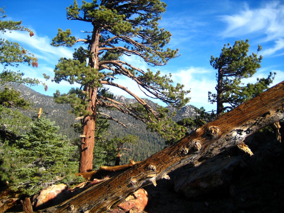 Hiking backpacking camping