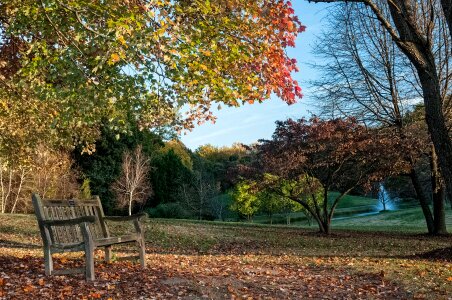 Season colorful landscape