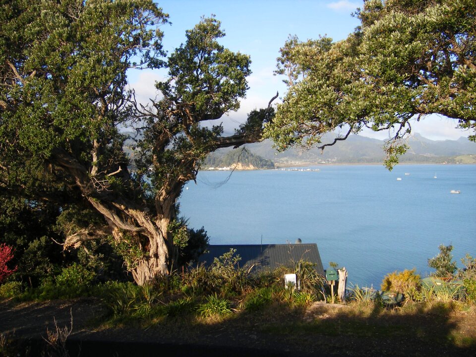 View sea scenery