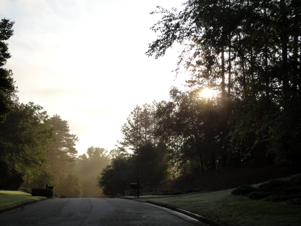 Nature light freedom