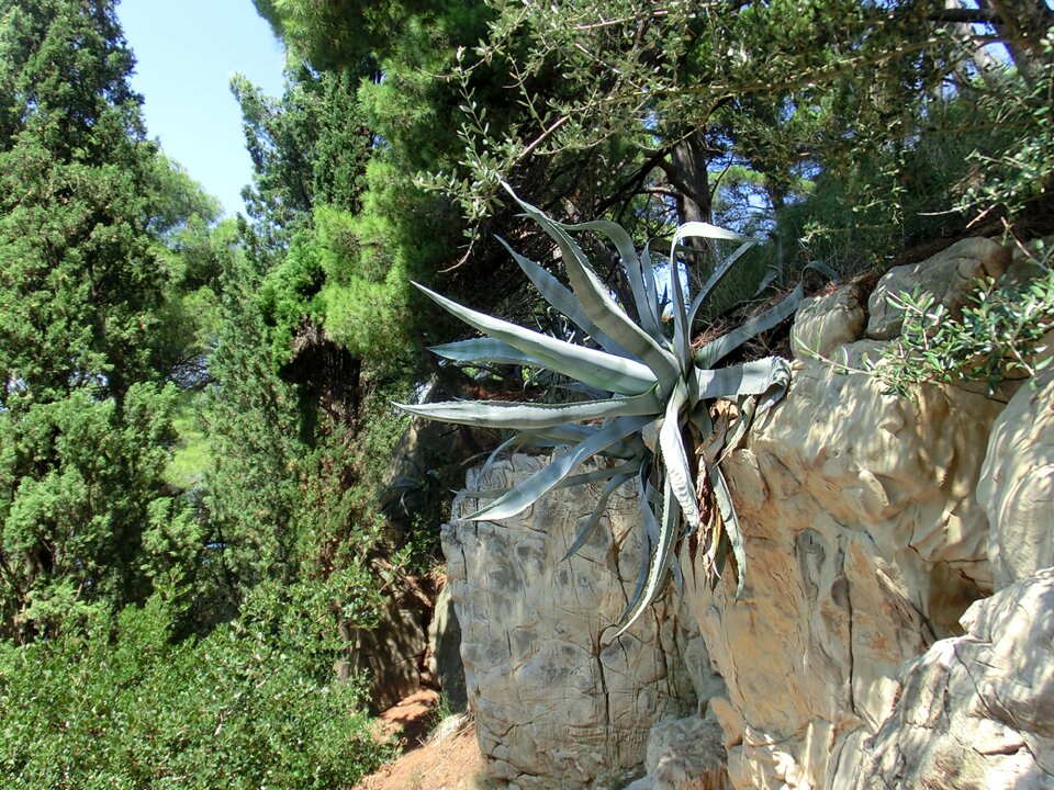Croatia stone island of krk