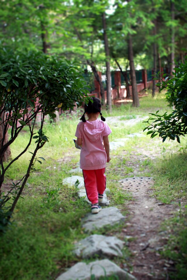 Park nature walk