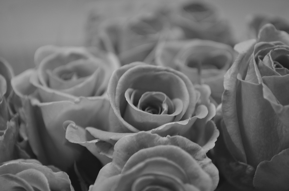 Background symbol beauty