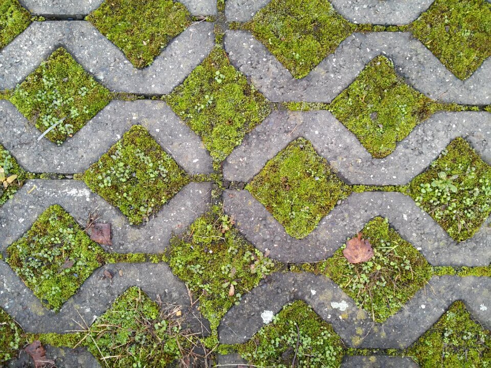 Concrete green grey