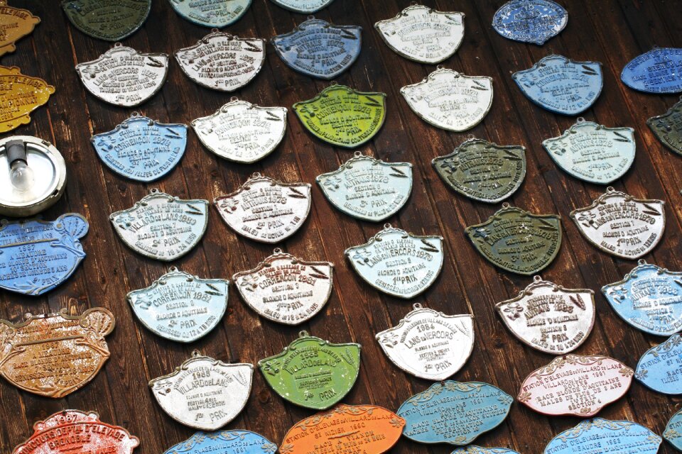 Rewards horses medals