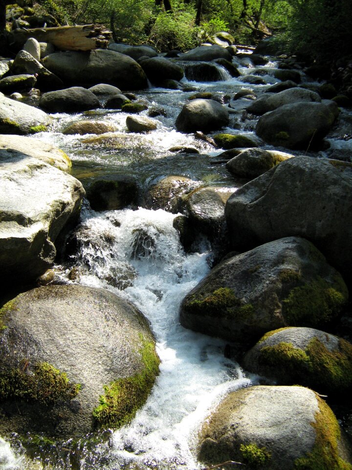 River nature landscape