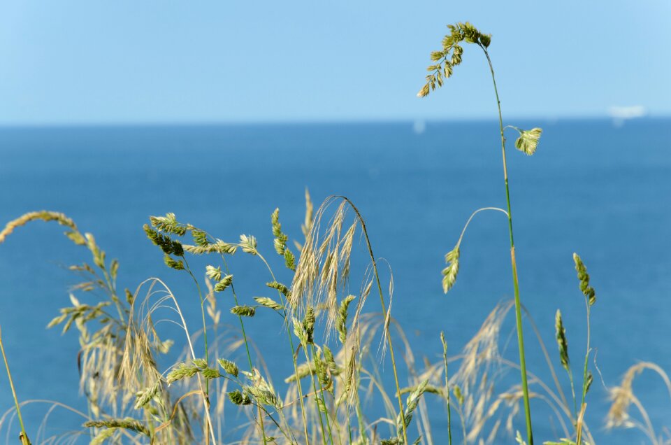 Landscape beach coast