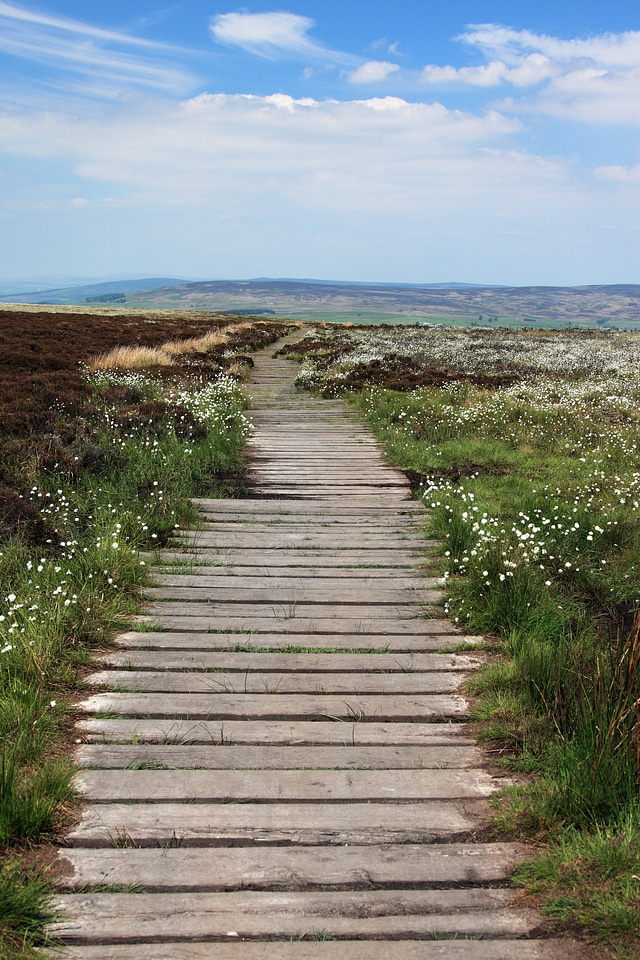 Hike hiking landscape photo