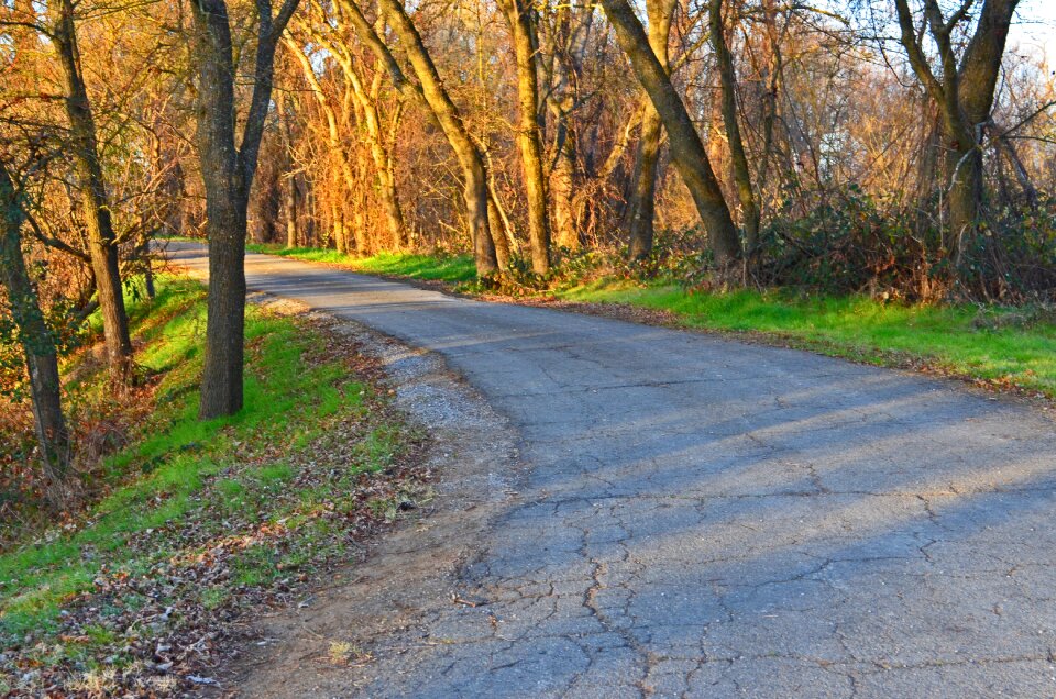 Landscape forest travel