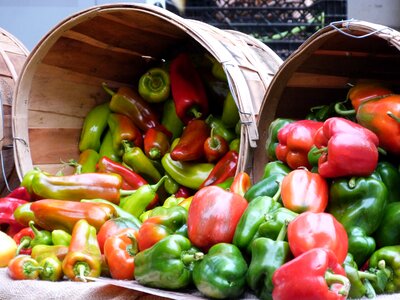 Baskets vegetable market photo