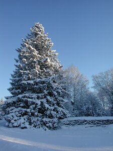 Winter sweden roslagen photo