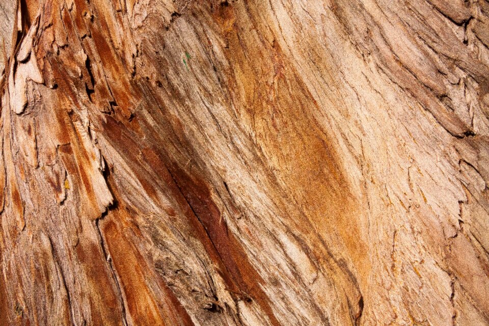 Wood structure brown